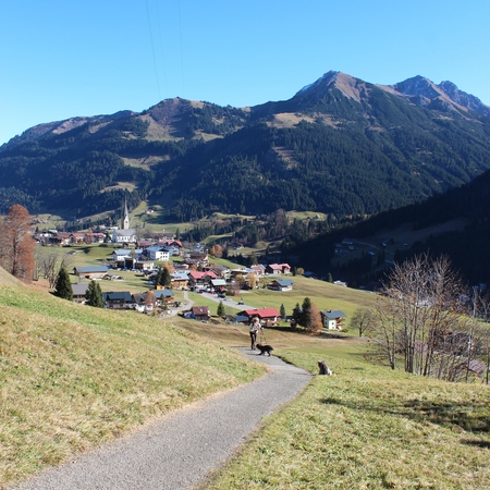 Herbst 2015 (3)